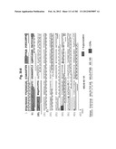 METHOD OF TREATMENT OF NEURODEMENTING DISEASES USING ISOLATED, MONOCLONAL,     HUMAN, ANTI-B-AMYLOID ANTIBODY diagram and image