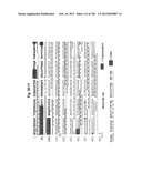 METHOD OF TREATMENT OF NEURODEMENTING DISEASES USING ISOLATED, MONOCLONAL,     HUMAN, ANTI-B-AMYLOID ANTIBODY diagram and image