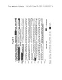 METHOD OF TREATMENT OF NEURODEMENTING DISEASES USING ISOLATED, MONOCLONAL,     HUMAN, ANTI-B-AMYLOID ANTIBODY diagram and image