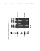 METHOD OF TREATMENT OF NEURODEMENTING DISEASES USING ISOLATED, MONOCLONAL,     HUMAN, ANTI-B-AMYLOID ANTIBODY diagram and image