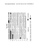 METHOD OF TREATMENT OF NEURODEMENTING DISEASES USING ISOLATED, MONOCLONAL,     HUMAN, ANTI-B-AMYLOID ANTIBODY diagram and image