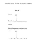 METHOD OF TREATMENT OF NEURODEMENTING DISEASES USING ISOLATED, MONOCLONAL,     HUMAN, ANTI-B-AMYLOID ANTIBODY diagram and image