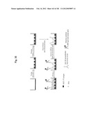 METHOD OF TREATMENT OF NEURODEMENTING DISEASES USING ISOLATED, MONOCLONAL,     HUMAN, ANTI-B-AMYLOID ANTIBODY diagram and image