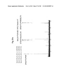 METHOD OF TREATMENT OF NEURODEMENTING DISEASES USING ISOLATED, MONOCLONAL,     HUMAN, ANTI-B-AMYLOID ANTIBODY diagram and image