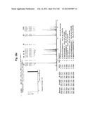 METHOD OF TREATMENT OF NEURODEMENTING DISEASES USING ISOLATED, MONOCLONAL,     HUMAN, ANTI-B-AMYLOID ANTIBODY diagram and image