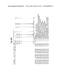 METHOD OF TREATMENT OF NEURODEMENTING DISEASES USING ISOLATED, MONOCLONAL,     HUMAN, ANTI-B-AMYLOID ANTIBODY diagram and image