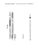 METHOD OF TREATMENT OF NEURODEMENTING DISEASES USING ISOLATED, MONOCLONAL,     HUMAN, ANTI-B-AMYLOID ANTIBODY diagram and image