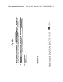 METHOD OF TREATMENT OF NEURODEMENTING DISEASES USING ISOLATED, MONOCLONAL,     HUMAN, ANTI-B-AMYLOID ANTIBODY diagram and image