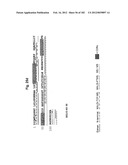 METHOD OF TREATMENT OF NEURODEMENTING DISEASES USING ISOLATED, MONOCLONAL,     HUMAN, ANTI-B-AMYLOID ANTIBODY diagram and image