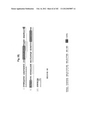 METHOD OF TREATMENT OF NEURODEMENTING DISEASES USING ISOLATED, MONOCLONAL,     HUMAN, ANTI-B-AMYLOID ANTIBODY diagram and image