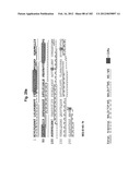 METHOD OF TREATMENT OF NEURODEMENTING DISEASES USING ISOLATED, MONOCLONAL,     HUMAN, ANTI-B-AMYLOID ANTIBODY diagram and image