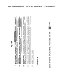 METHOD OF TREATMENT OF NEURODEMENTING DISEASES USING ISOLATED, MONOCLONAL,     HUMAN, ANTI-B-AMYLOID ANTIBODY diagram and image