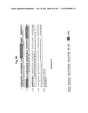 METHOD OF TREATMENT OF NEURODEMENTING DISEASES USING ISOLATED, MONOCLONAL,     HUMAN, ANTI-B-AMYLOID ANTIBODY diagram and image