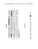 METHOD OF TREATMENT OF NEURODEMENTING DISEASES USING ISOLATED, MONOCLONAL,     HUMAN, ANTI-B-AMYLOID ANTIBODY diagram and image