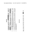 METHOD OF TREATMENT OF NEURODEMENTING DISEASES USING ISOLATED, MONOCLONAL,     HUMAN, ANTI-B-AMYLOID ANTIBODY diagram and image