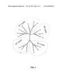 HUMAN BINDING MOLECULES CAPABLE OF NEUTRALIZING INFLUENZA VIRUS H3N2 AND     USES THEREOF diagram and image