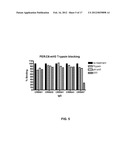 HUMAN BINDING MOLECULES CAPABLE OF NEUTRALIZING INFLUENZA VIRUS H3N2 AND     USES THEREOF diagram and image