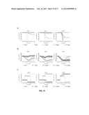 HUMAN BINDING MOLECULES CAPABLE OF NEUTRALIZING INFLUENZA VIRUS H3N2 AND     USES THEREOF diagram and image