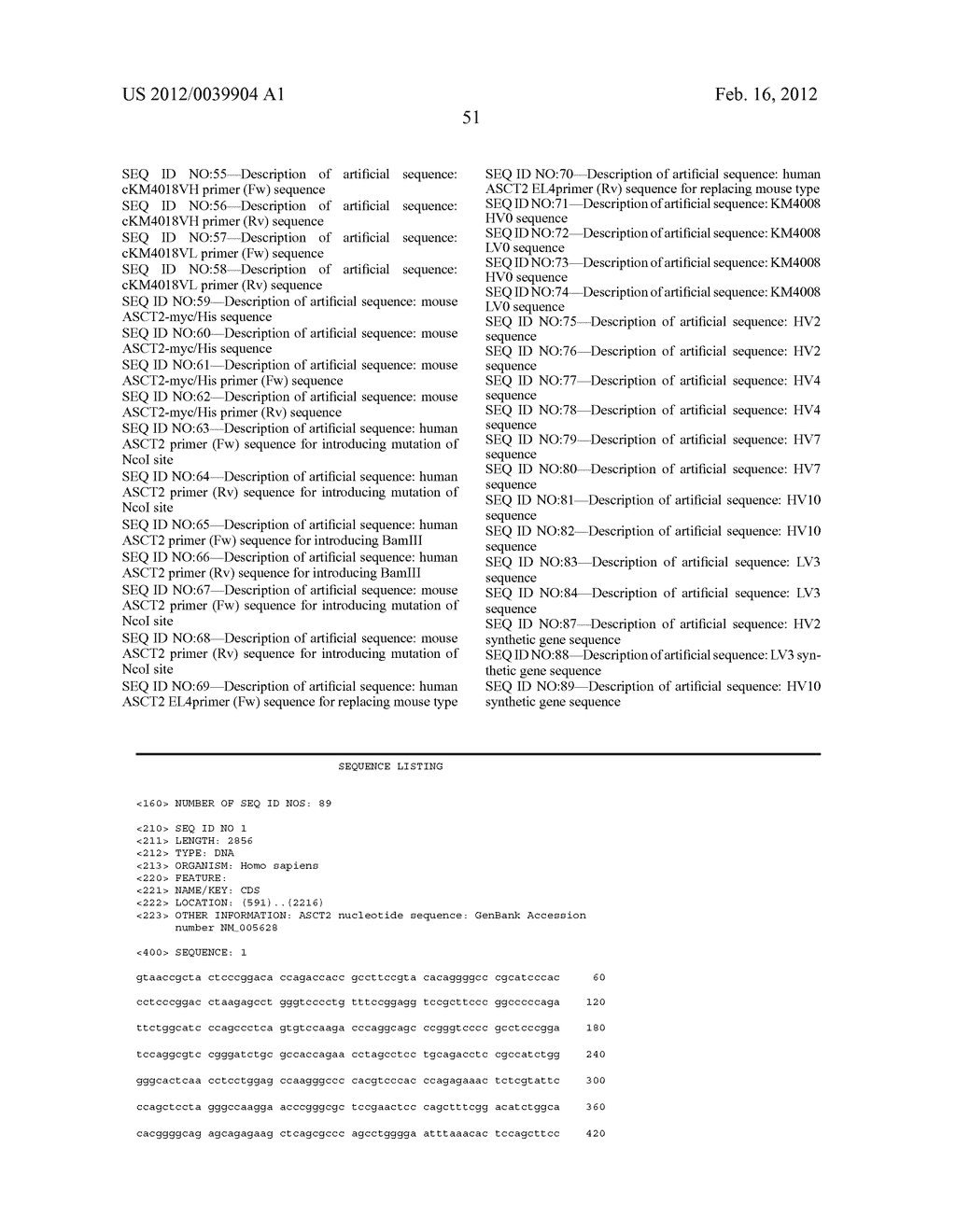 ANTI SYSTEM ASC AMINO ACID TRANSPORTER 2 (ASCT2) ANTIBODY - diagram, schematic, and image 73