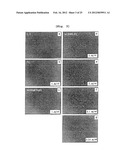 CD93 OR USE OF SOLUBLE FRAGMENT THEREOF diagram and image