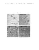 CD93 OR USE OF SOLUBLE FRAGMENT THEREOF diagram and image