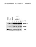 CD93 OR USE OF SOLUBLE FRAGMENT THEREOF diagram and image