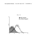 CD93 OR USE OF SOLUBLE FRAGMENT THEREOF diagram and image