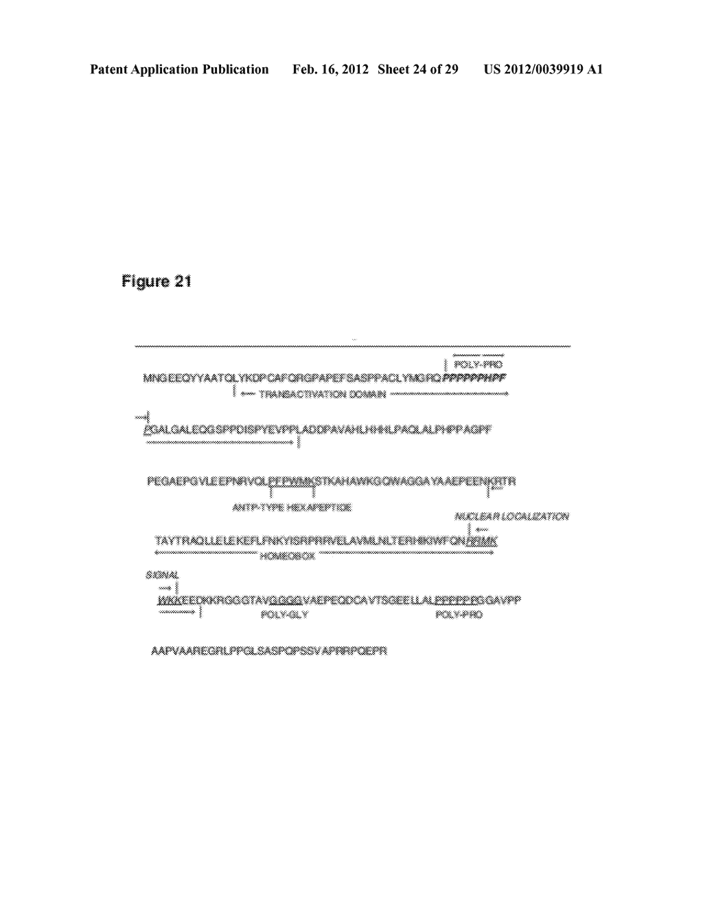 DIABETES DIAGNOSTIC, PROPHYLACTIC, AND THERAPEUTIC COMPOSITIONS AND     METHODS - diagram, schematic, and image 25