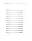 POULTRY VIRAL MATERIALS AND METHODS RELATED THERETO diagram and image