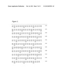 POULTRY VIRAL MATERIALS AND METHODS RELATED THERETO diagram and image