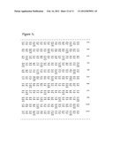 POULTRY VIRAL MATERIALS AND METHODS RELATED THERETO diagram and image