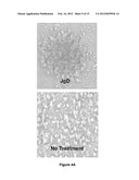 Compositions and Methods for Modulating Immunogenic Responses by     Activating Dendritic Cells diagram and image