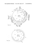 COMPOSITION COMPRISING THE POLYPROTEIN NS3/NS4 AND THE POLYPEPTIDE NS5B OF     HCV, EXPRESSION VECTORS INCLUDING THE CORRESPONDING NUCLEIC SEQUENCES AND     THEIR THERAPEUTIC USE diagram and image