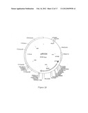 COMPOSITION COMPRISING THE POLYPROTEIN NS3/NS4 AND THE POLYPEPTIDE NS5B OF     HCV, EXPRESSION VECTORS INCLUDING THE CORRESPONDING NUCLEIC SEQUENCES AND     THEIR THERAPEUTIC USE diagram and image