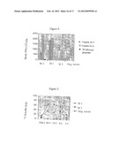 COMPOSITION COMPRISING THE POLYPROTEIN NS3/NS4 AND THE POLYPEPTIDE NS5B OF     HCV, EXPRESSION VECTORS INCLUDING THE CORRESPONDING NUCLEIC SEQUENCES AND     THEIR THERAPEUTIC USE diagram and image