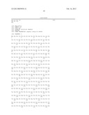 COMPOSITION COMPRISING THE POLYPROTEIN NS3/NS4 AND THE POLYPEPTIDE NS5B OF     HCV, EXPRESSION VECTORS INCLUDING THE CORRESPONDING NUCLEIC SEQUENCES AND     THEIR THERAPEUTIC USE diagram and image