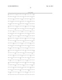 COMPOSITION COMPRISING THE POLYPROTEIN NS3/NS4 AND THE POLYPEPTIDE NS5B OF     HCV, EXPRESSION VECTORS INCLUDING THE CORRESPONDING NUCLEIC SEQUENCES AND     THEIR THERAPEUTIC USE diagram and image