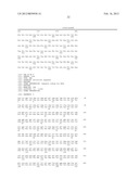 COMPOSITION COMPRISING THE POLYPROTEIN NS3/NS4 AND THE POLYPEPTIDE NS5B OF     HCV, EXPRESSION VECTORS INCLUDING THE CORRESPONDING NUCLEIC SEQUENCES AND     THEIR THERAPEUTIC USE diagram and image