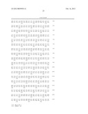 COMPOSITION COMPRISING THE POLYPROTEIN NS3/NS4 AND THE POLYPEPTIDE NS5B OF     HCV, EXPRESSION VECTORS INCLUDING THE CORRESPONDING NUCLEIC SEQUENCES AND     THEIR THERAPEUTIC USE diagram and image