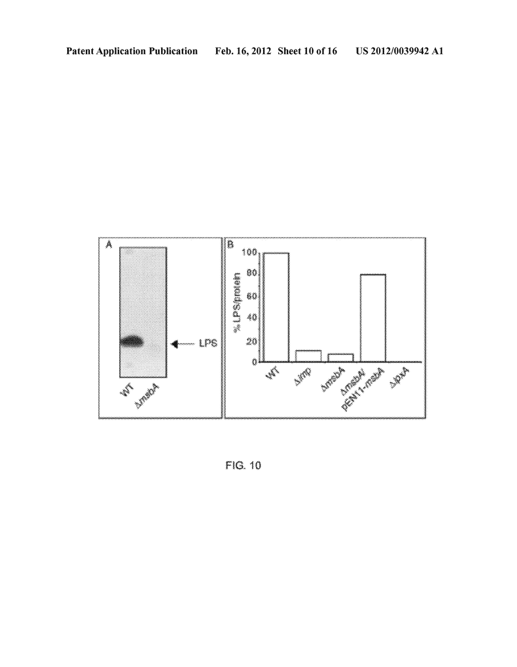 OUTER MEMBRANE VESICLES AND USES THEREOF - diagram, schematic, and image 11