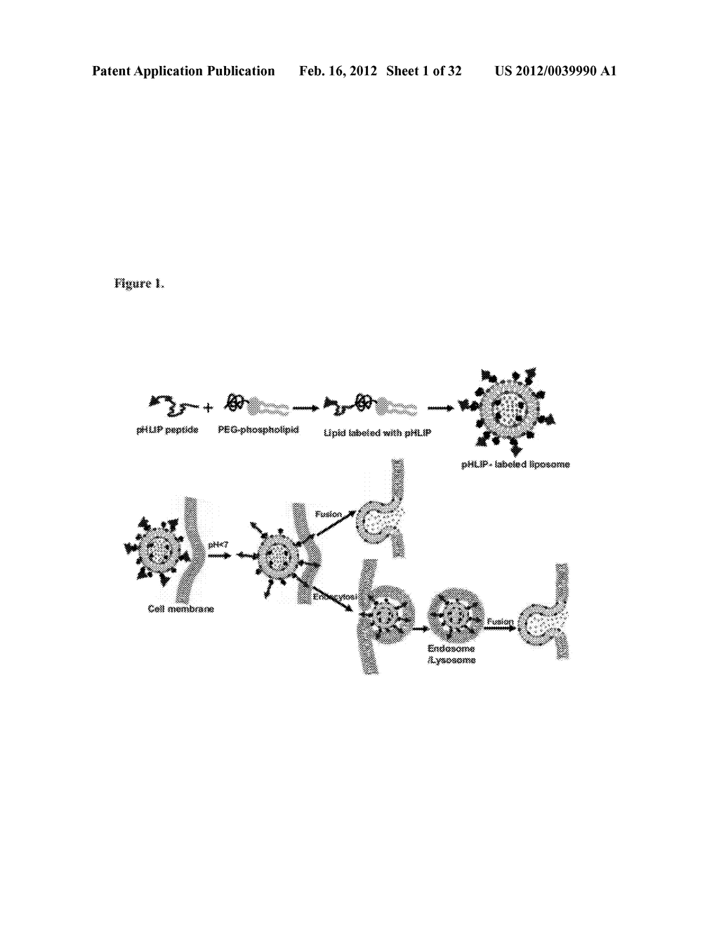 Liposome Compositions and Methods of Use Thereof - diagram, schematic, and image 02