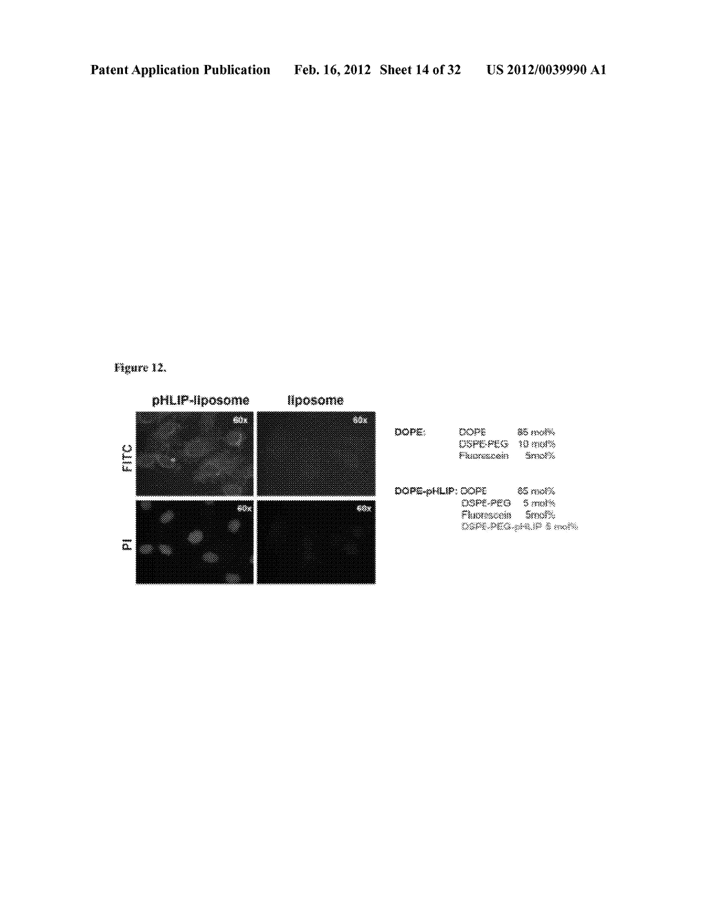 Liposome Compositions and Methods of Use Thereof - diagram, schematic, and image 15