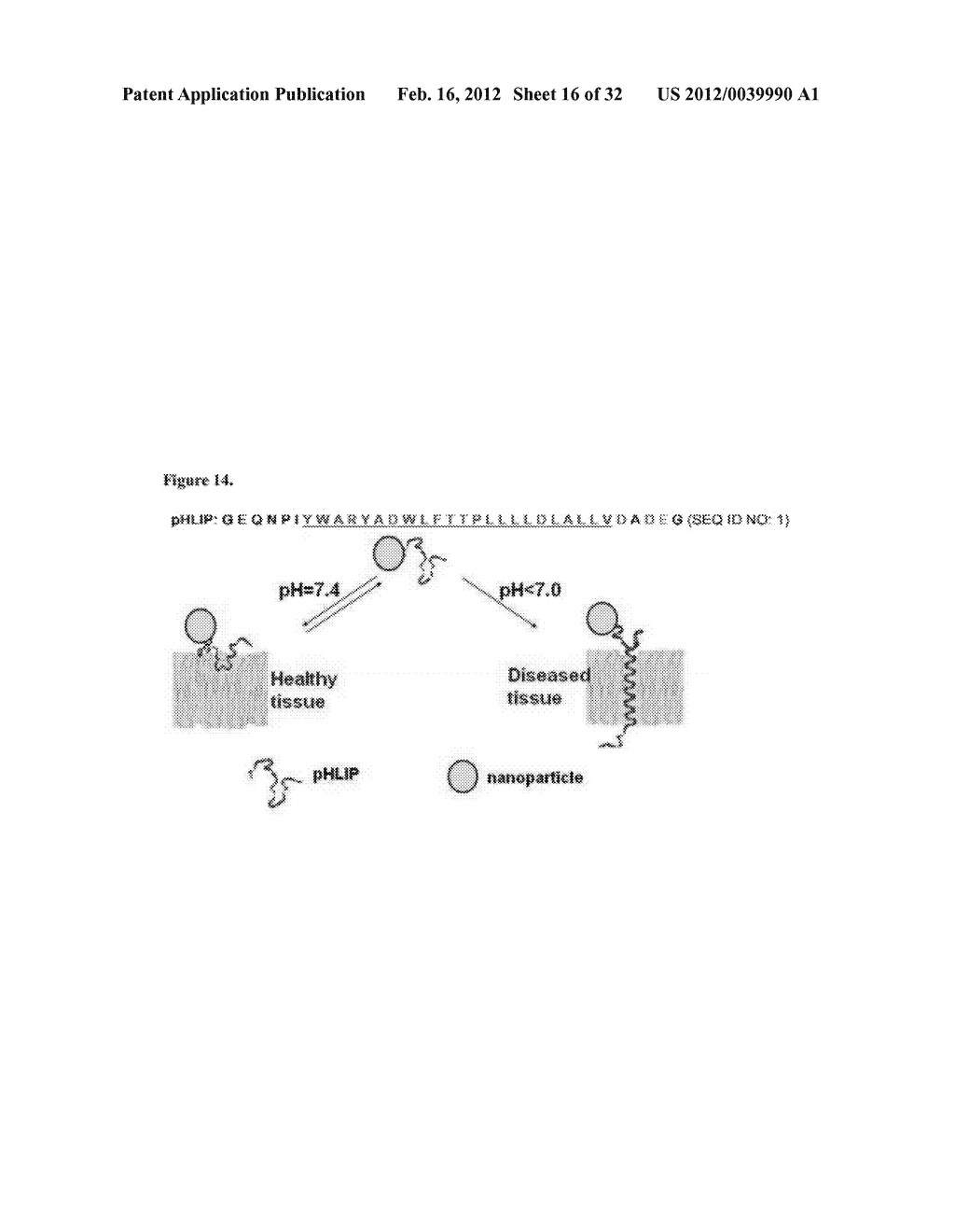 Liposome Compositions and Methods of Use Thereof - diagram, schematic, and image 17