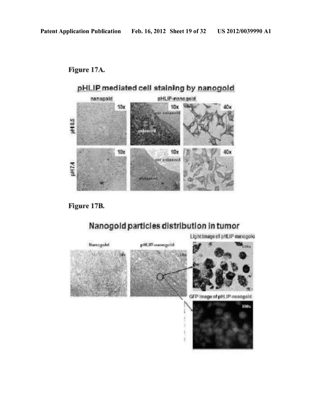 Liposome Compositions and Methods of Use Thereof - diagram, schematic, and image 20