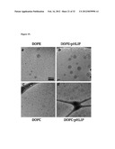 Liposome Compositions and Methods of Use Thereof diagram and image