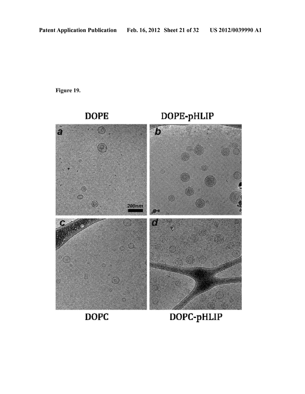 Liposome Compositions and Methods of Use Thereof - diagram, schematic, and image 22