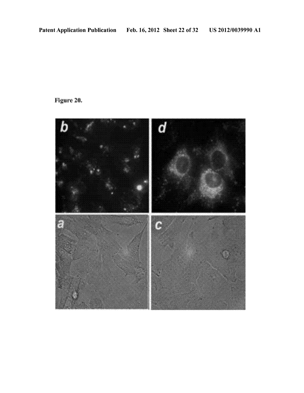 Liposome Compositions and Methods of Use Thereof - diagram, schematic, and image 23