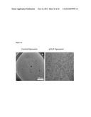 Liposome Compositions and Methods of Use Thereof diagram and image