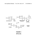 LIPID Supplements for Maintaining Health and Treatment of Acute and     Chronic Disorders diagram and image