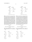 Top Coating Composition diagram and image